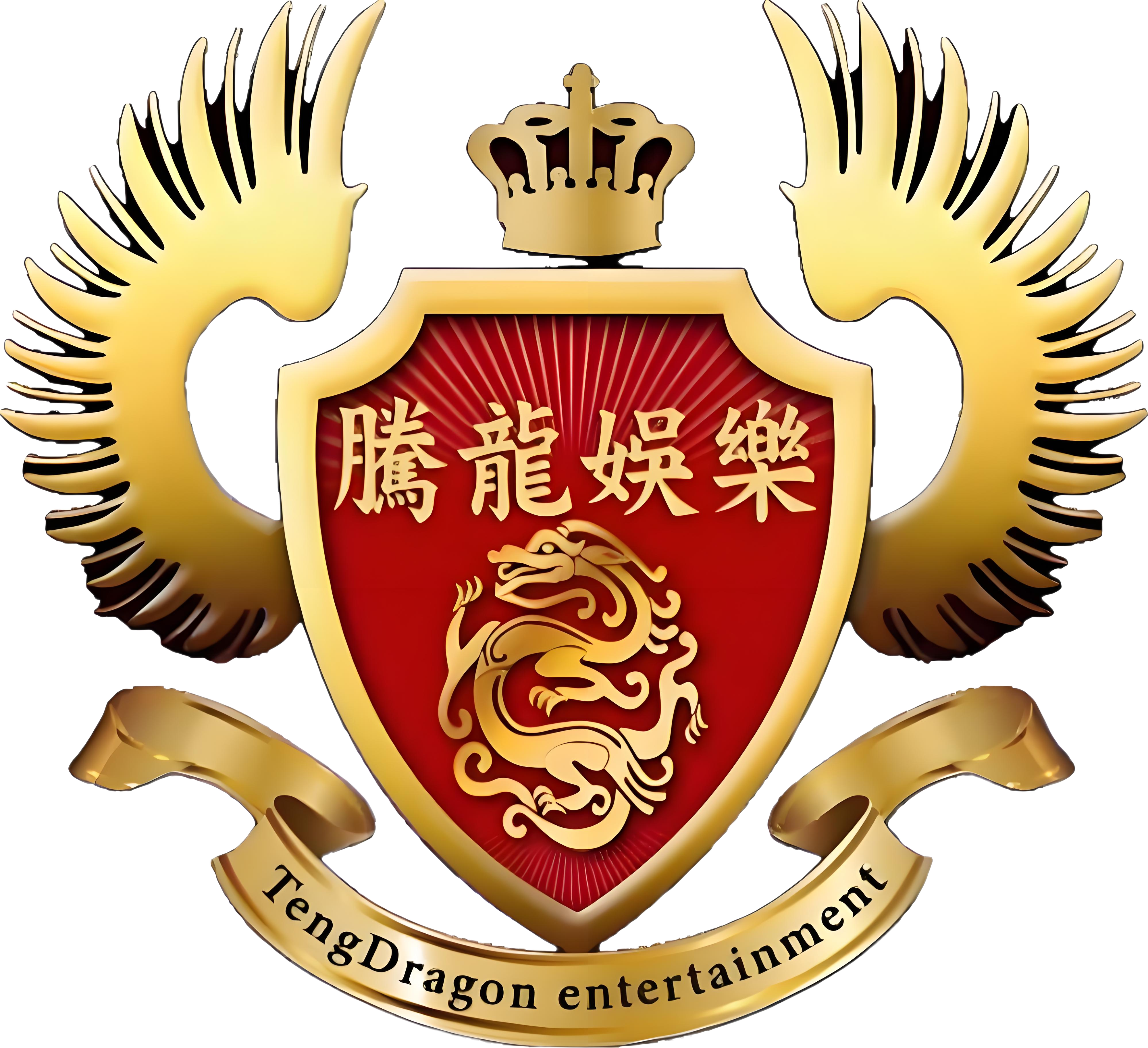 腾龙集团横幅